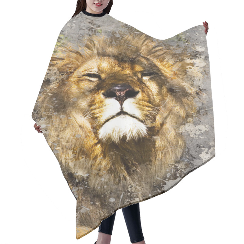 Personality  Artistic Portrait With Textured Background, Lion Head Hair Cutting Cape