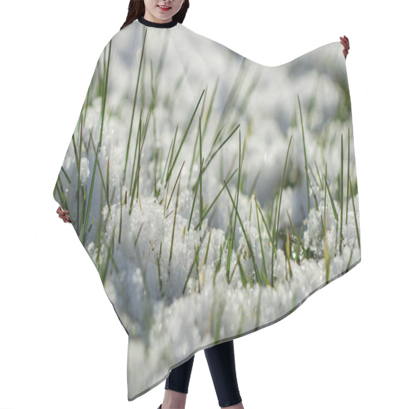 Personality  Growing Green Grass Under Snow. Hair Cutting Cape