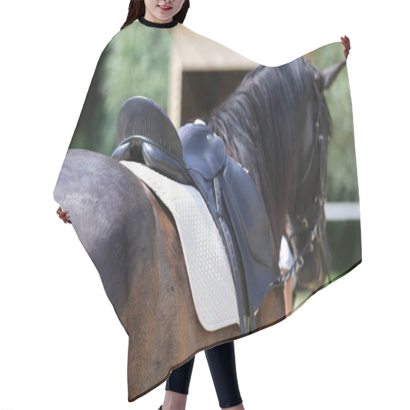 Personality  Closeup Of A Leather Saddle For Equestrian Sport On Horseback Hair Cutting Cape