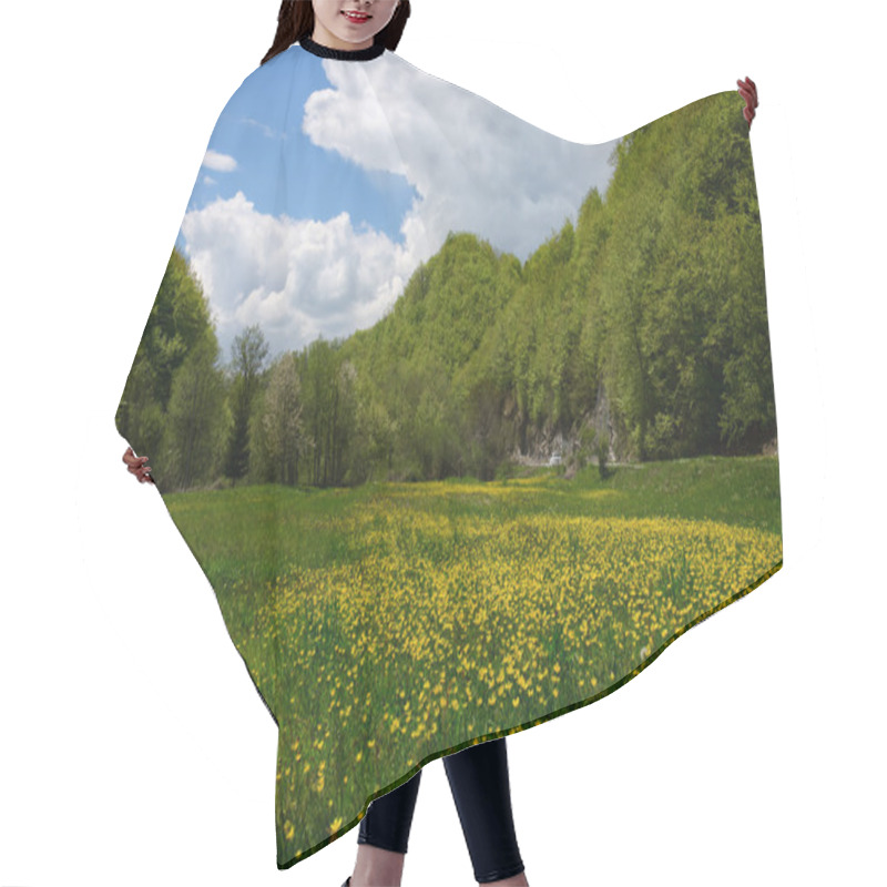 Personality  Montenegro. Flowering Field In The Mountains. Hair Cutting Cape