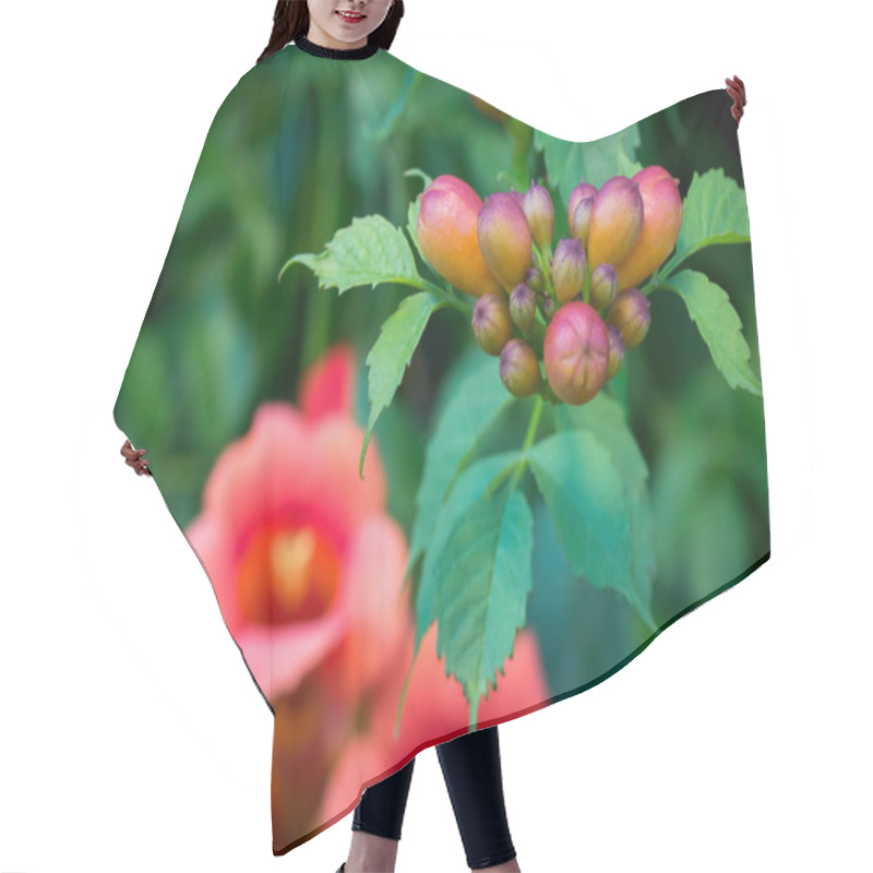 Personality  Trumpet Vine Blossoms Hair Cutting Cape