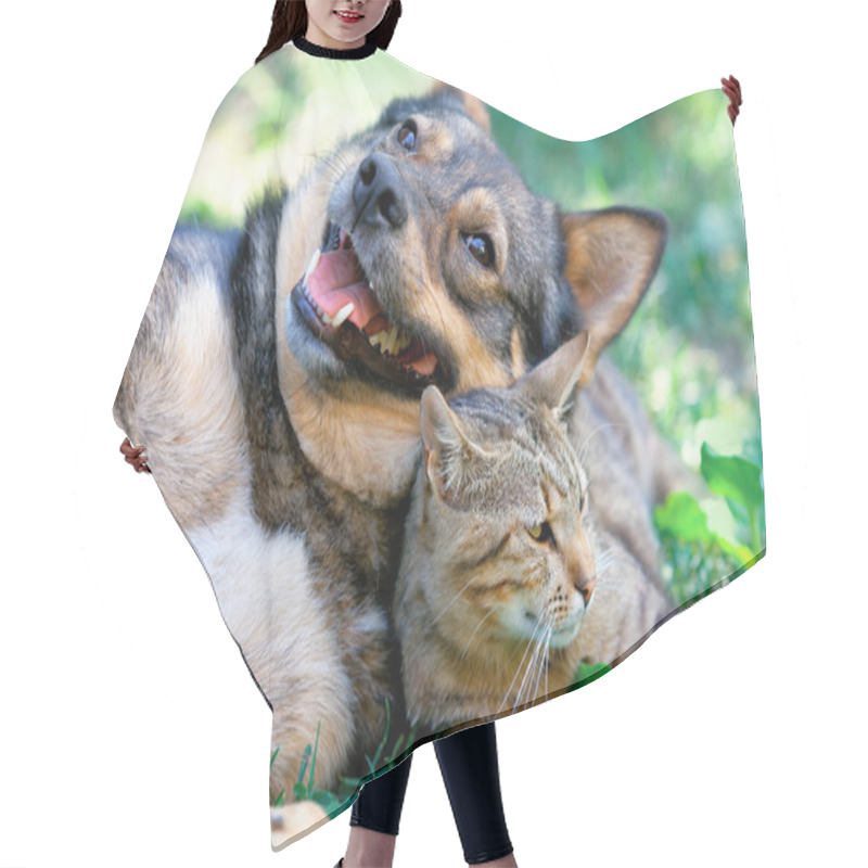 Personality  Dog And Cat Playing Together Outdoor Hair Cutting Cape