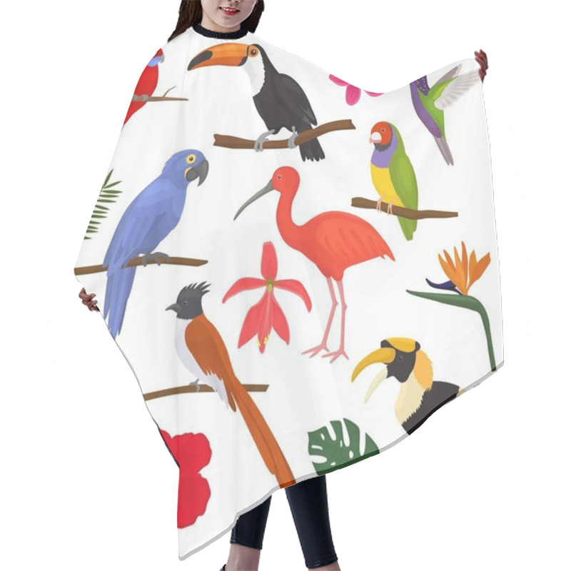 Personality  Tropical Birds Vector Exotic Parrot Toucan And Hummingbird With Palm Leaves Illustration Set Of Fashion Birdie Ibis Or Hornbill In Flowering Tropics Isolated On White Background Hair Cutting Cape