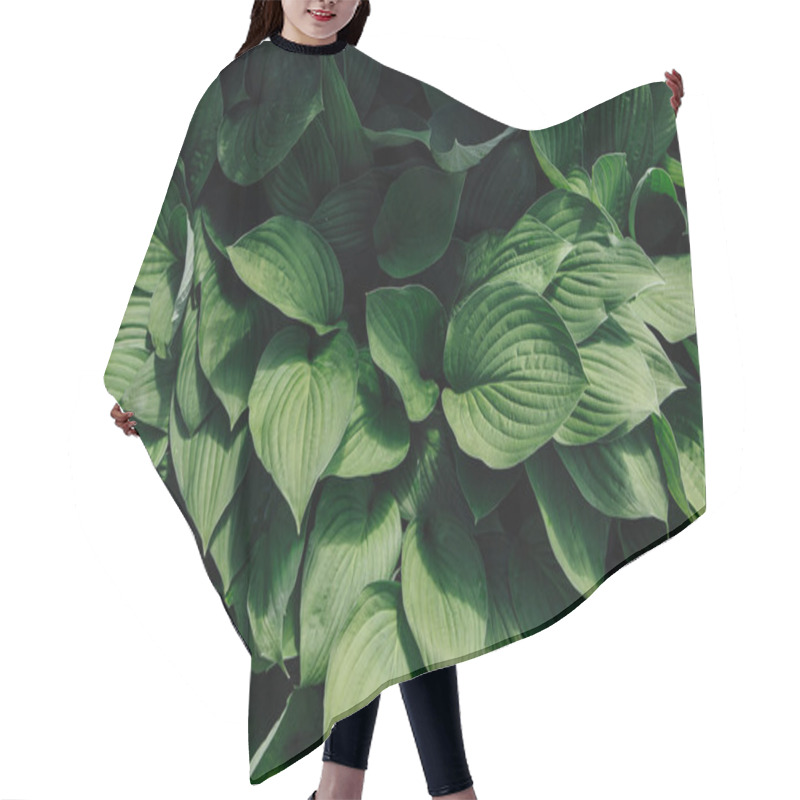 Personality  Background From The Fresh Leaves Of Lily Of The Valley Hair Cutting Cape