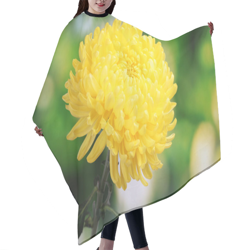 Personality  Yellow Autumn Chrysanthemum In The Garden Hair Cutting Cape