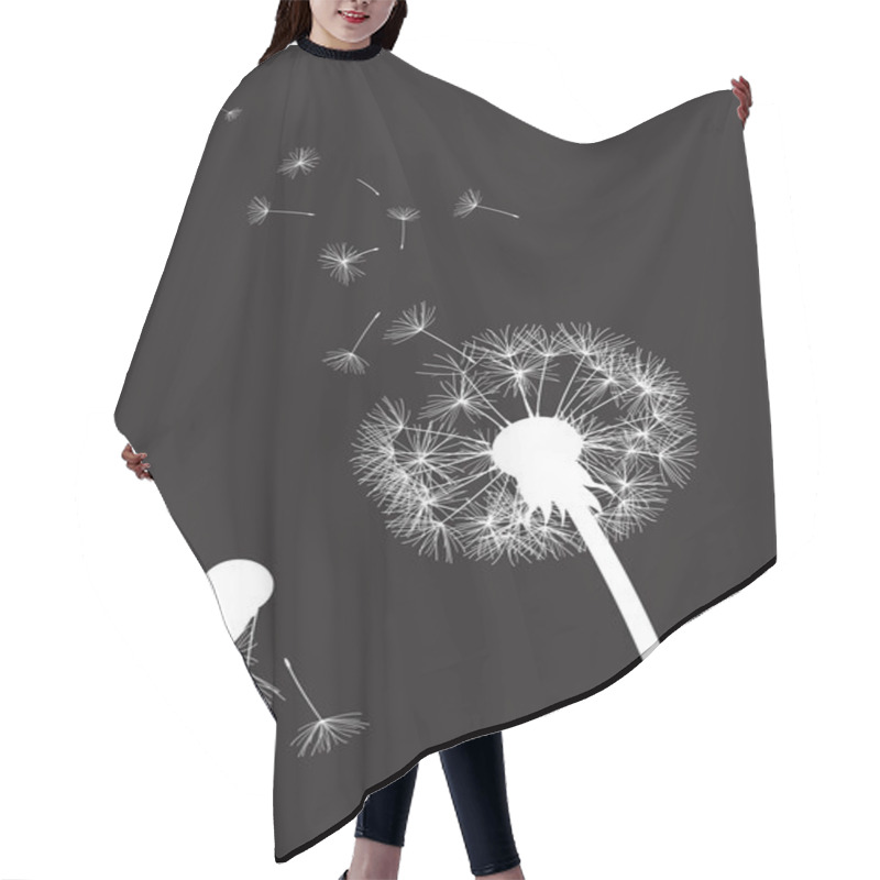 Personality  Black And White Two Dandelions With Flying Seeds Hair Cutting Cape