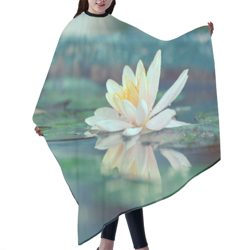 Personality  Waterlily Or Lotus Flower In A Pond With Rain Drop Pastel Or Vin Hair Cutting Cape