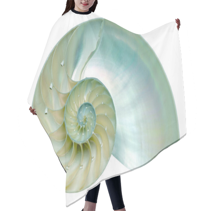 Personality  Nautilus Shell Section Isolated On Black Background Hair Cutting Cape