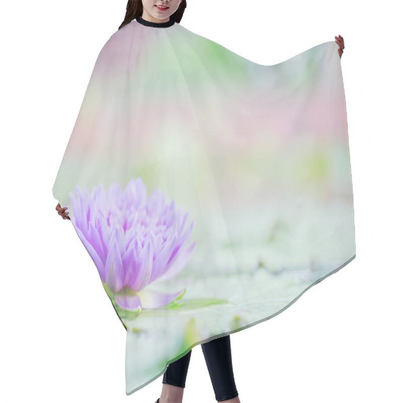 Personality  Beautiful Lotus Flower In Nature Background  Hair Cutting Cape