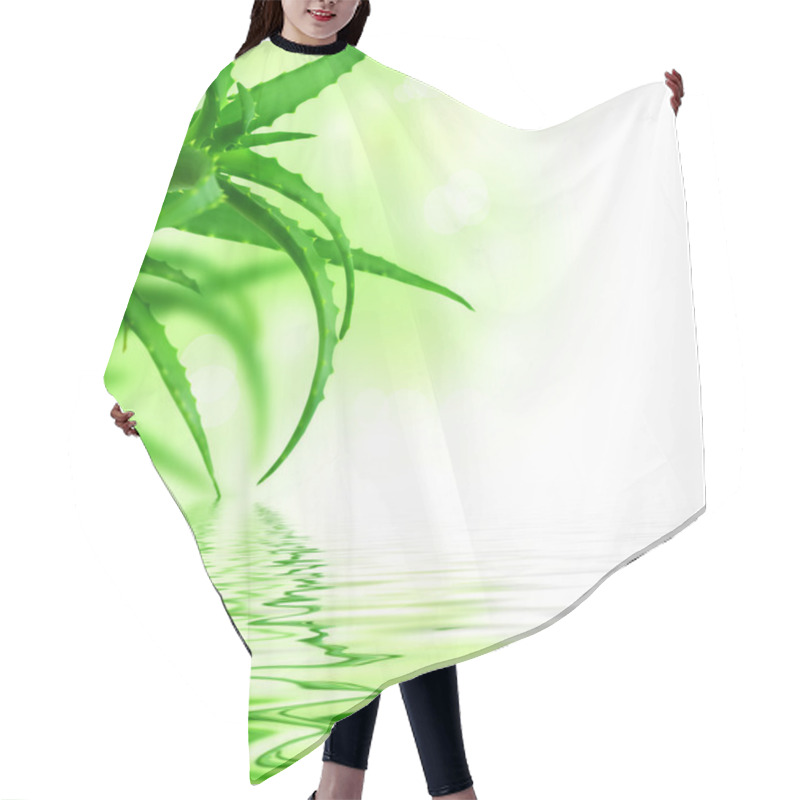 Personality  Aloe Vera Hair Cutting Cape