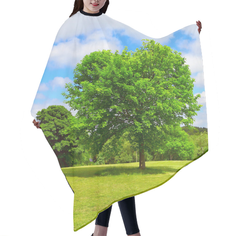 Personality  Green Nature Place Hair Cutting Cape