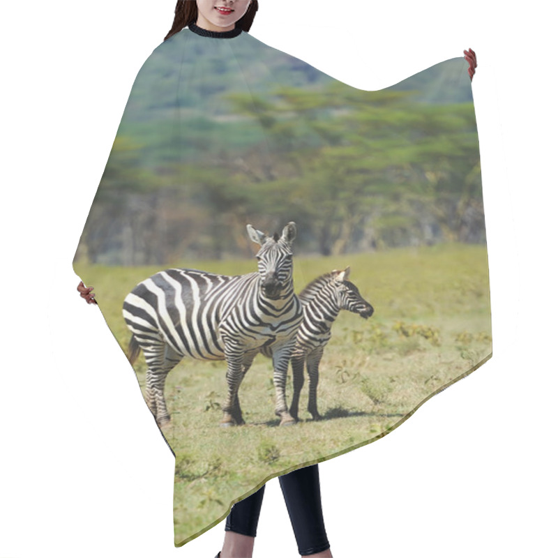 Personality  Zebra Hair Cutting Cape