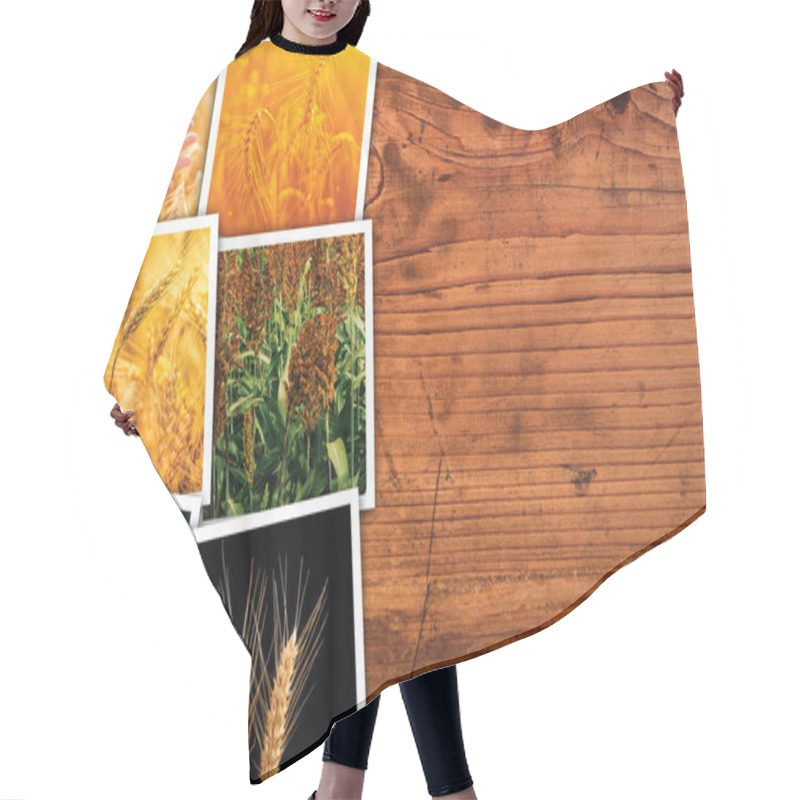 Personality  Cereal Plant Farming In Agriculture Photo Collage Hair Cutting Cape