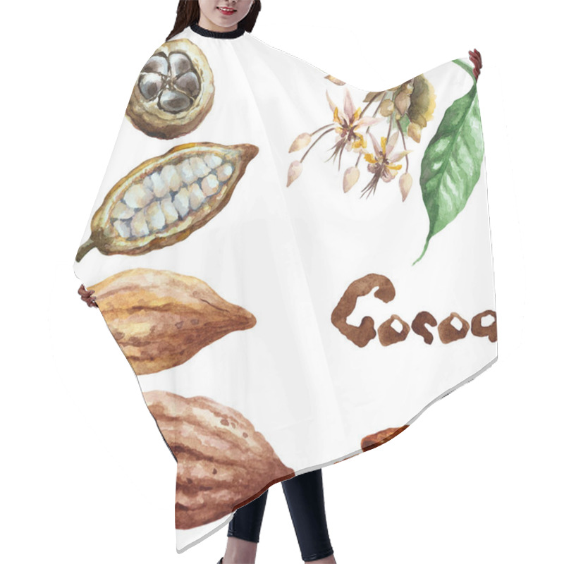 Personality  Set Of Whole And Cut Cocoa Pods, Beans, Flower And Leaf On A White Background. Hand Drawn Watercolor Illustration. Hair Cutting Cape