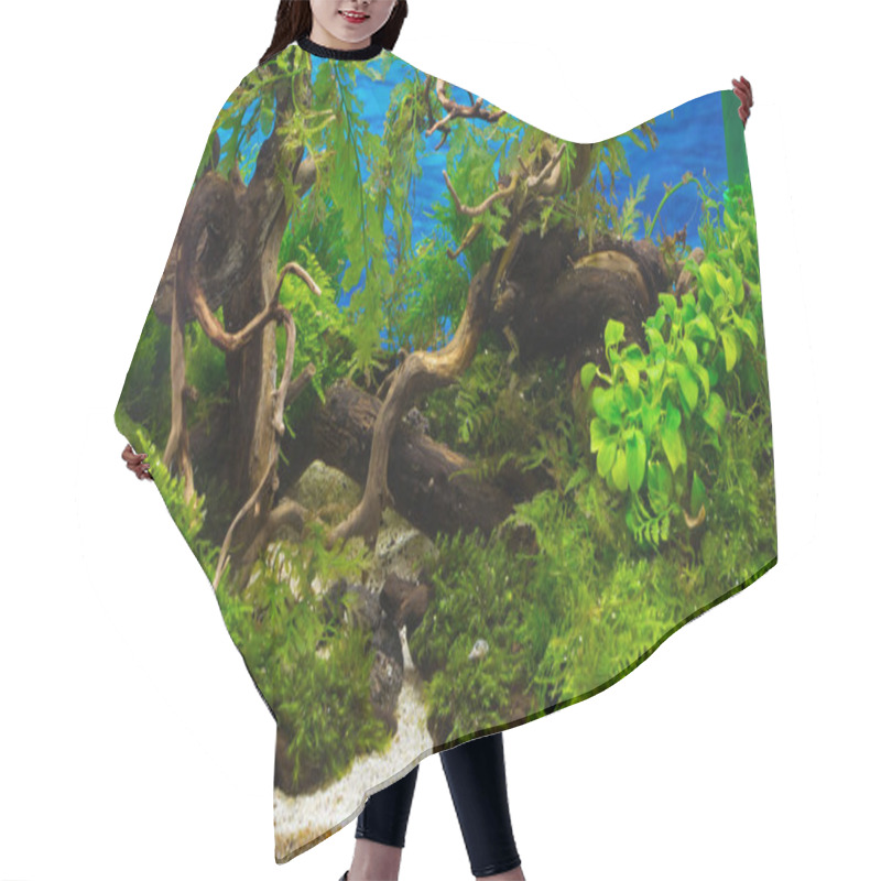 Personality  A Green Beautiful Planted Tropical Freshwater Aquarium Hair Cutting Cape