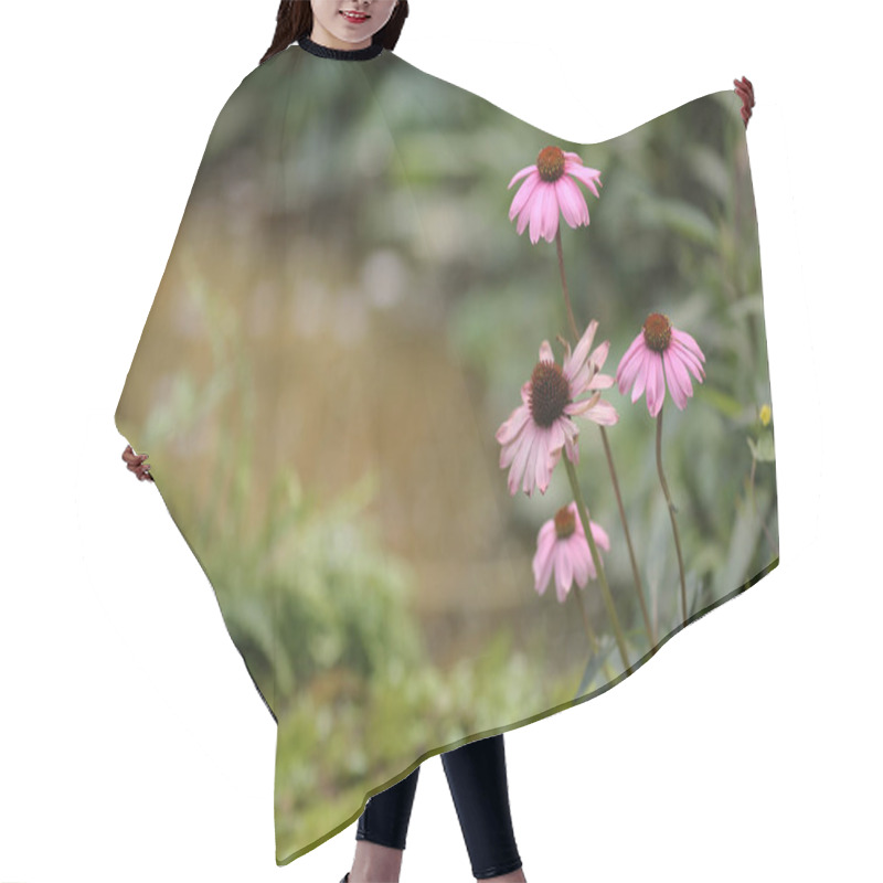 Personality  Pink Echinacea Flowers In Garden, Spring Time At Garden Hair Cutting Cape