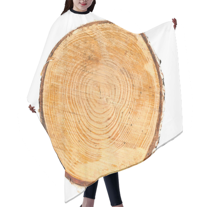 Personality  Cross Section Of Tree Trunk Hair Cutting Cape