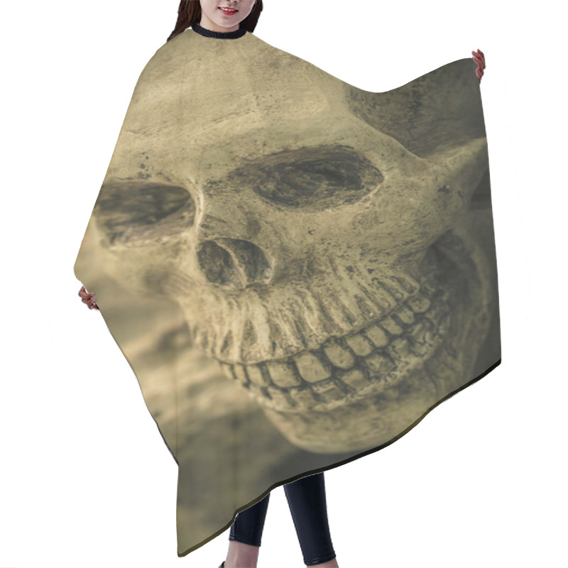 Personality  Still Life With Human Skull  Hair Cutting Cape