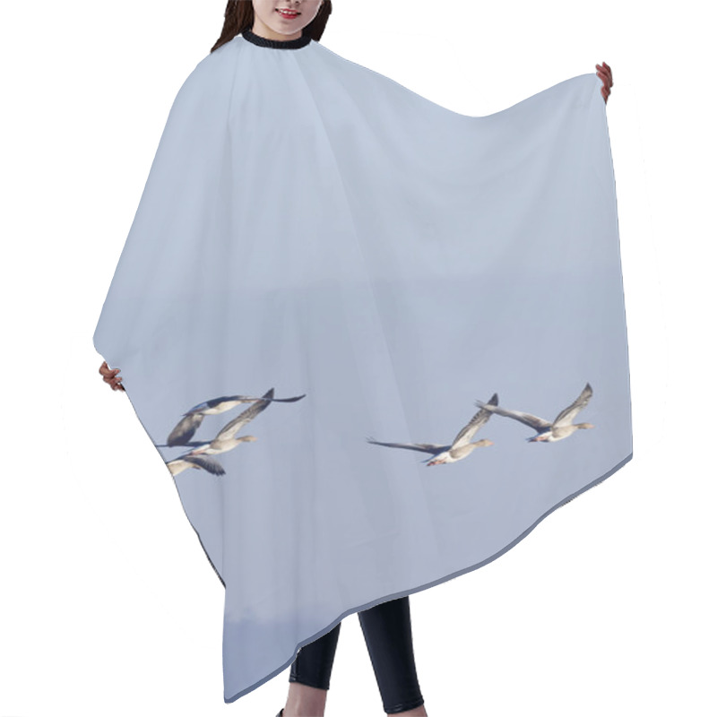 Personality  Greylag Geese In Flight Hair Cutting Cape