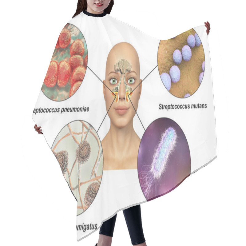 Personality  Anatomy Of Rhinosinusitis And Microorganisms That Cause Sinusitis Streptococcus Pneumoniae, Streptococcus Mutans, Aspergillus Fumigatus, And Pseudomonas Aeruginosa, Labelled 3D Illustration Hair Cutting Cape