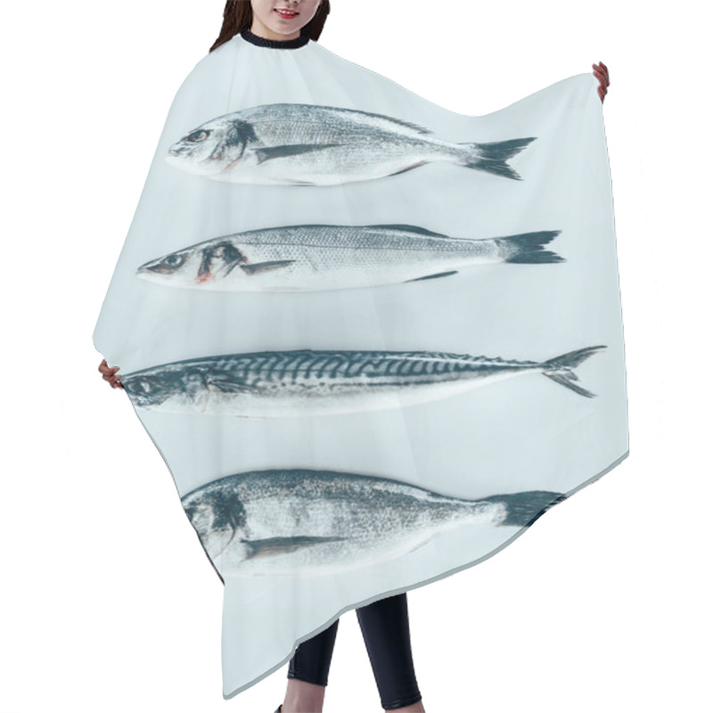 Personality  Top View Of Assorted Uncooked Sea Fish Isolated On Grey   Hair Cutting Cape