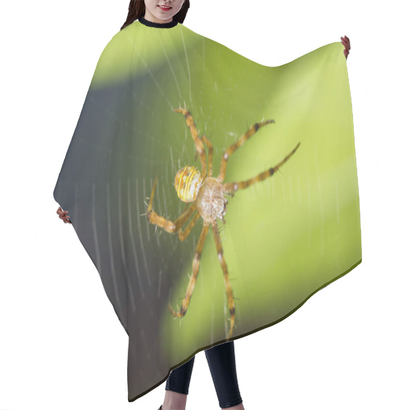 Personality  Spider Hair Cutting Cape