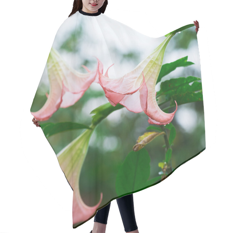 Personality  Datura (angel Trumpet) Flower Hair Cutting Cape