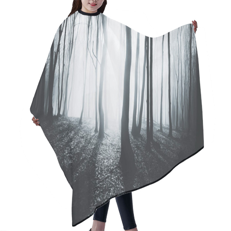 Personality  Fantasy Forest With Sun Rays Landscape Hair Cutting Cape