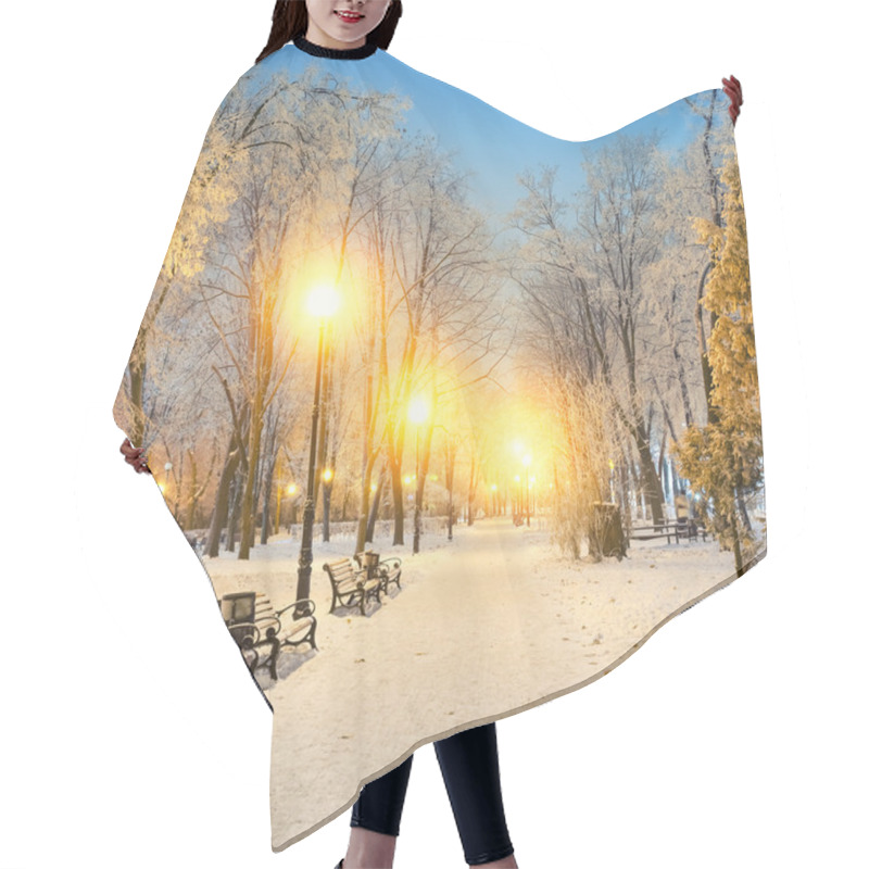 Personality  Footpath In A Fabulous Winter City Park Hair Cutting Cape