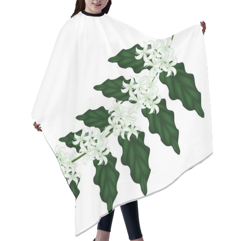 Personality  An Illustration Of Coffee Flowers On White Background Hair Cutting Cape