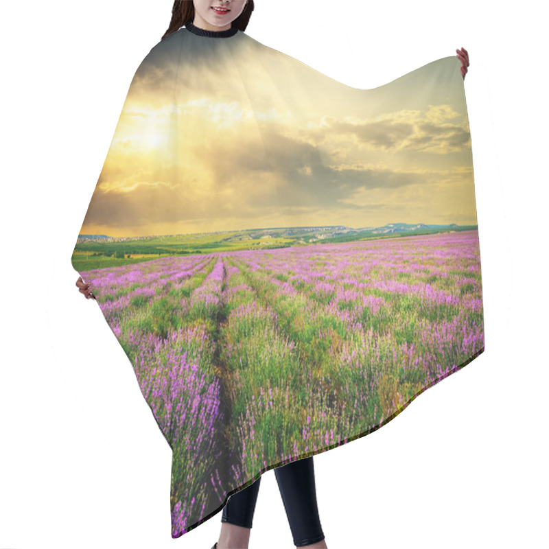 Personality  Meadow Of Lavender. Hair Cutting Cape