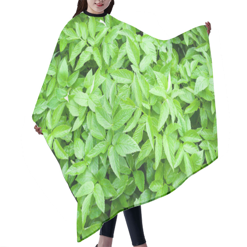 Personality  Green Spring Leaves Background. Natural Pattern, Vignette Hair Cutting Cape