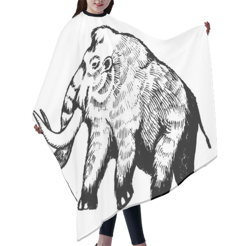 Personality  Mammoth Engraving Vector Illustration Hair Cutting Cape