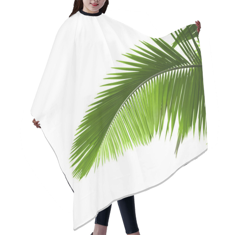 Personality  Leaves Of Palm Tree Hair Cutting Cape