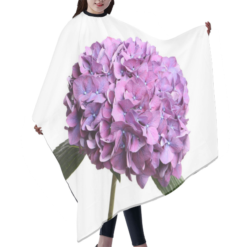 Personality  Branch Of Hortensia Plant With Delicate Flowers On White Background Hair Cutting Cape