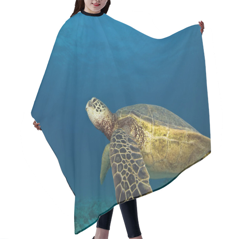 Personality  Tropical Reef Underwater Hair Cutting Cape