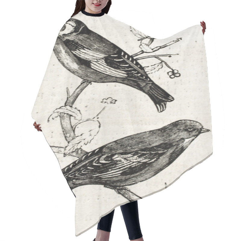 Personality  Goldfinches Hair Cutting Cape