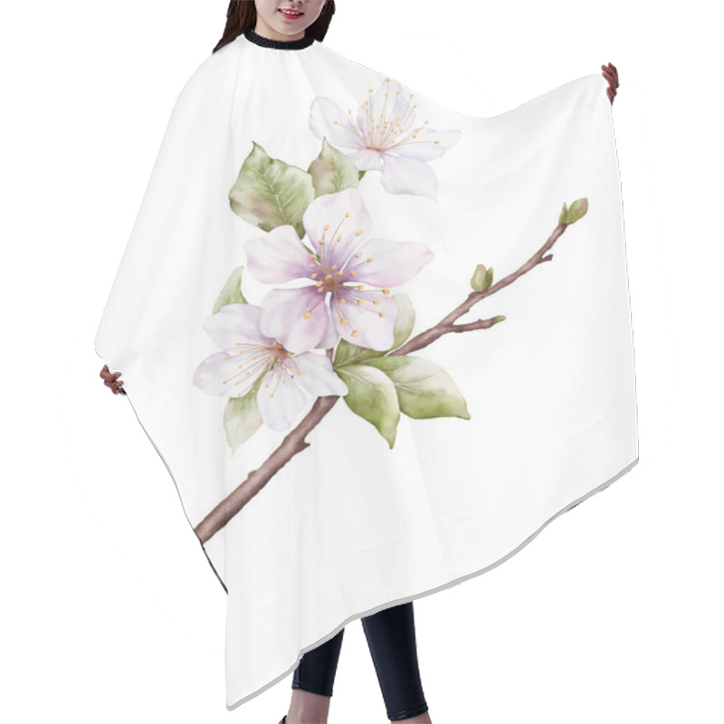 Personality  Watercolor Light Pink Cherry Blossoms Blooming On The Branches. Cherry Blossom And Leaves Branch Bouquet Vector Isolated On White Background. Suitable For Decorative Spring Festivals, Or Cards. Hair Cutting Cape