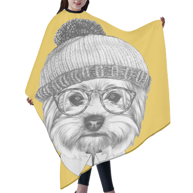 Personality   Yorkshire Terrier With Sunglasses And Hat.  Hair Cutting Cape