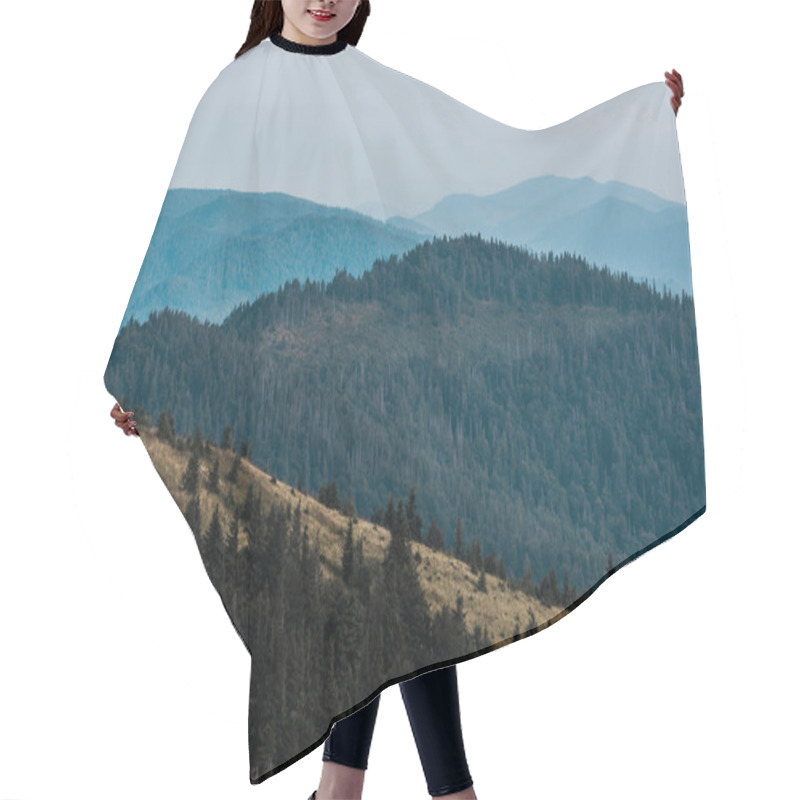 Personality  Scenic And Blue Silhouette Of Mountains Near Golden Field And Fir Trees  Hair Cutting Cape