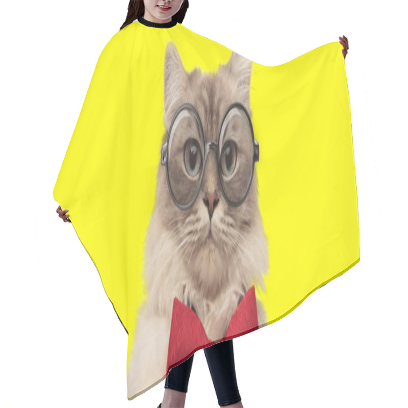 Personality  Adorable Kitten Wearing Red Bowtie And Glasses On Yellow Background Hair Cutting Cape