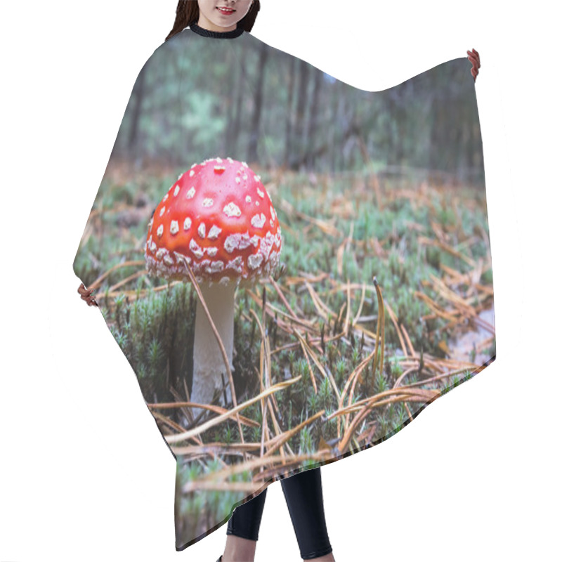 Personality  Fly Agaric Mushroom In Forest Hair Cutting Cape