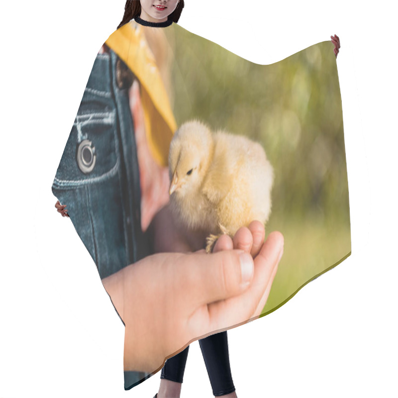 Personality  Cropped Image Of Kid Holding Adorable Yellow Baby Chick Outdoors  Hair Cutting Cape