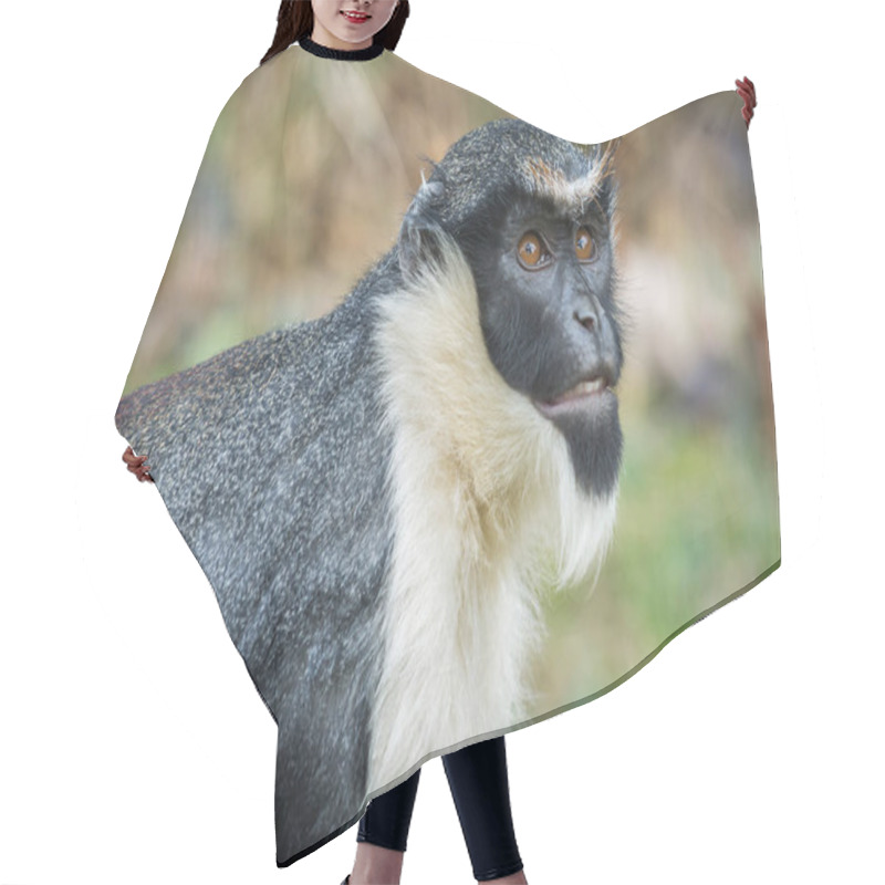 Personality  The Diana Monkey  Hair Cutting Cape