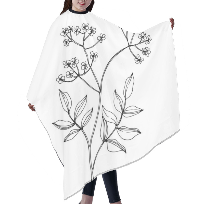 Personality  Vector Wildflowers Floral Botanical Flowers. Black And White Engraved Ink Art. Isolated Flower Illustration Element. Hair Cutting Cape