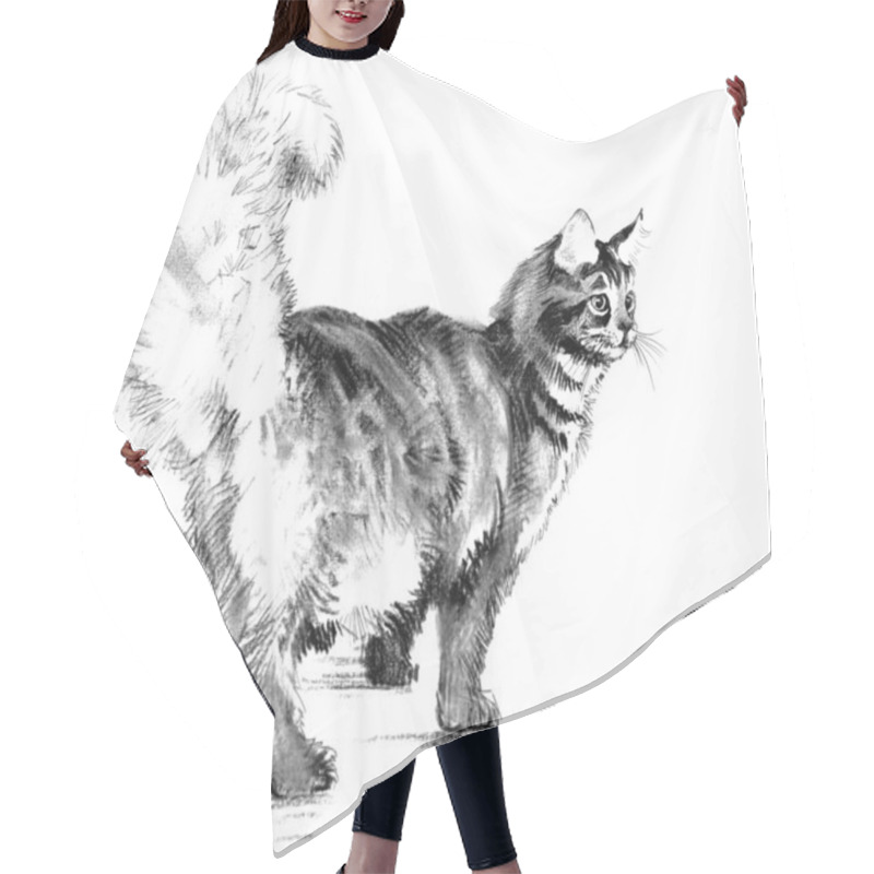 Personality  Black And White Hand Drawn Cat  Hair Cutting Cape