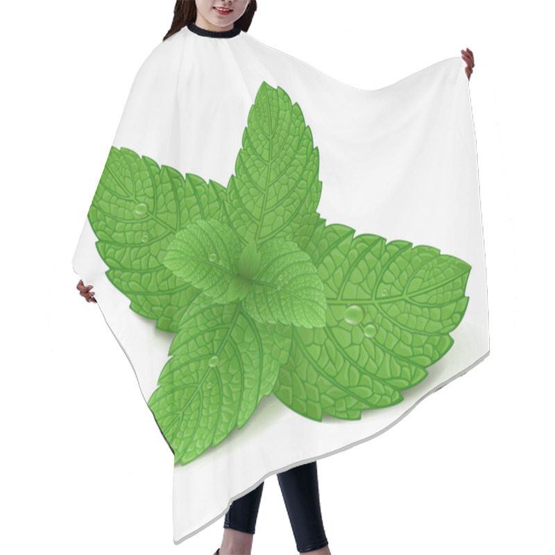 Personality  Mint Leaf Hair Cutting Cape