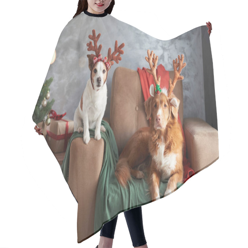 Personality  Two Dogs Celebrate The Holiday Spirit, One With Antlers Perched On A Cozy Chair Beside A Festive Tree, Embodying The Joy Of Christmas Hair Cutting Cape