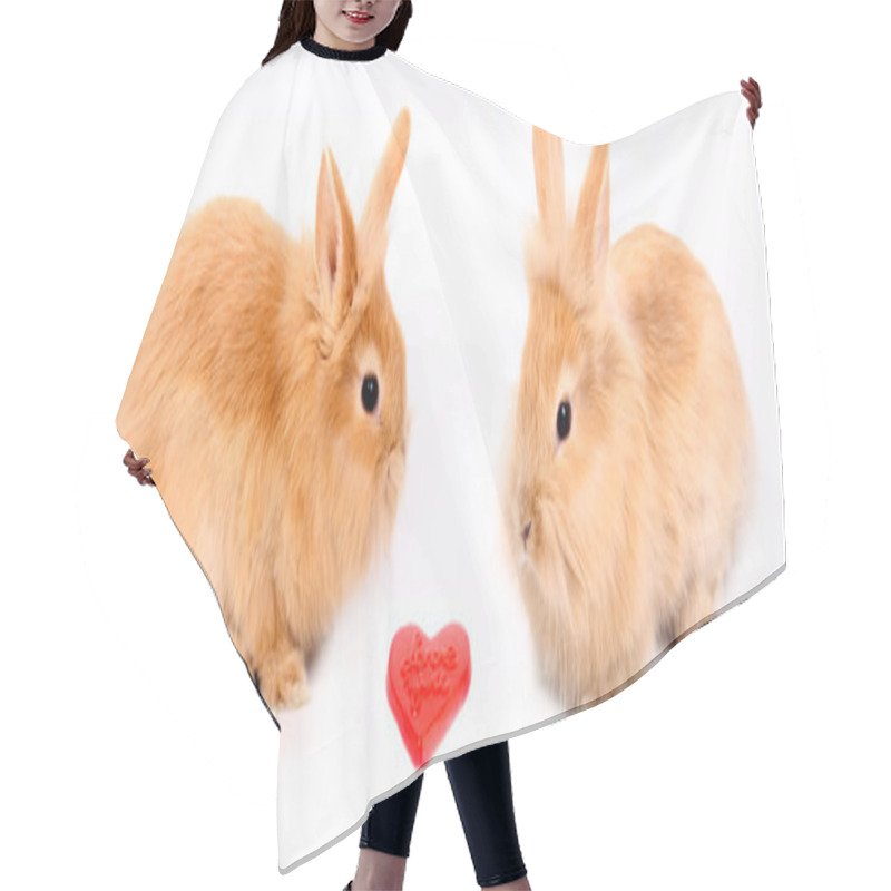 Personality  Young Rabbit Hair Cutting Cape