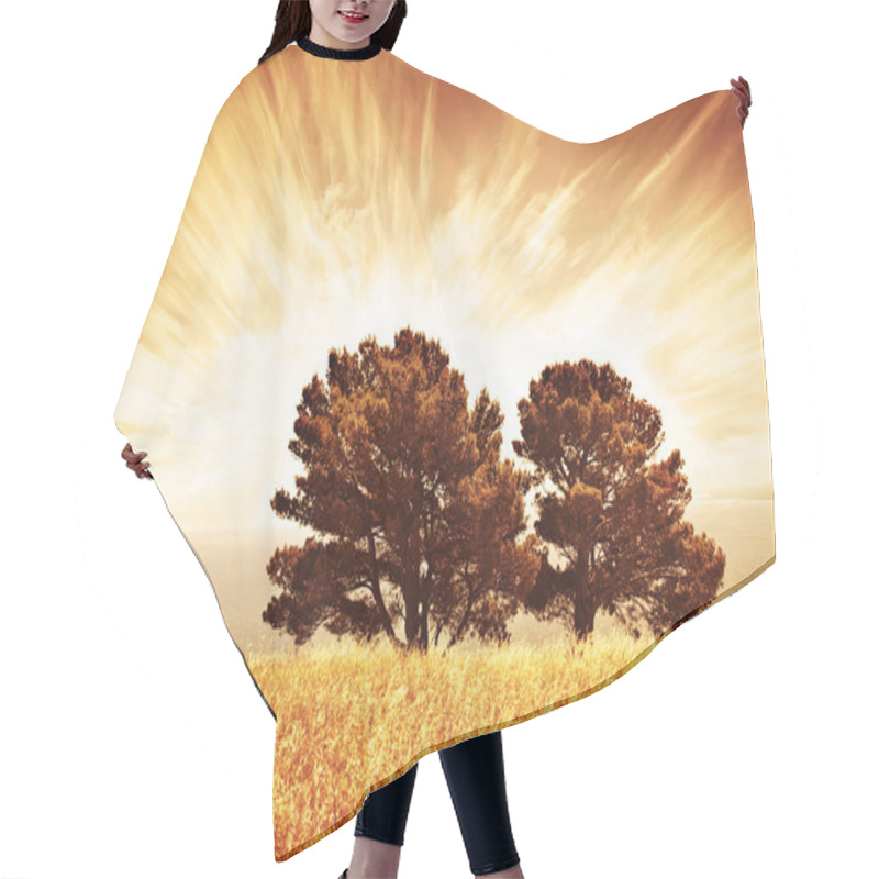 Personality  Lonely Old Trees Hair Cutting Cape